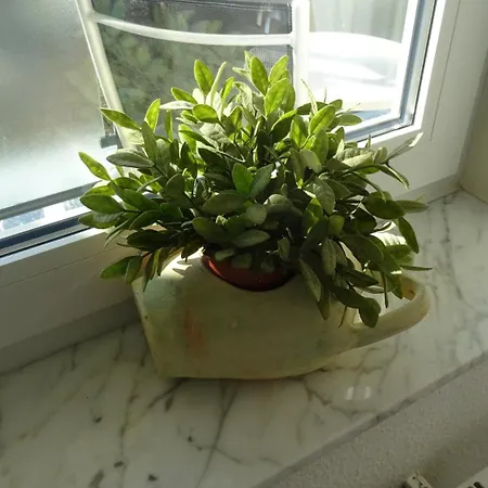 Gaestehaus Becker Гостевой дом Вахенхайм-ан-дер-Вайнштрасе