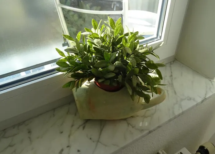 Gaestehaus Becker Guest house Wachenheim an der Weinstrasse