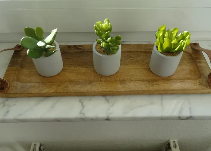 Gaestehaus Becker 4* Wachenheim an der Weinstrasse